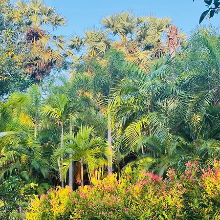 Sasvi Cabana ตรินโคมาลี ภายนอก รูปภาพ
