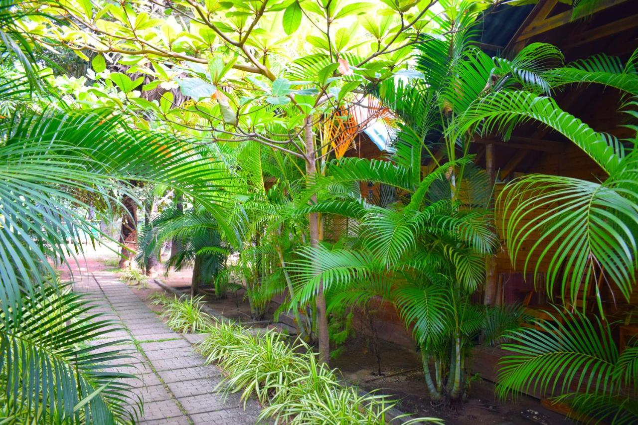 Sasvi Cabana ตรินโคมาลี ภายนอก รูปภาพ
