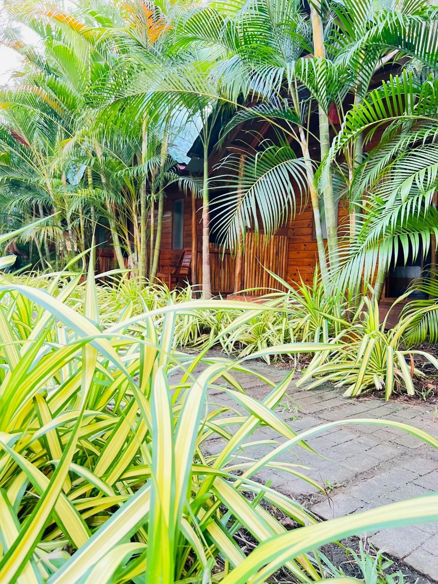 Sasvi Cabana Villa ตรินโคมาลี ภายนอก รูปภาพ