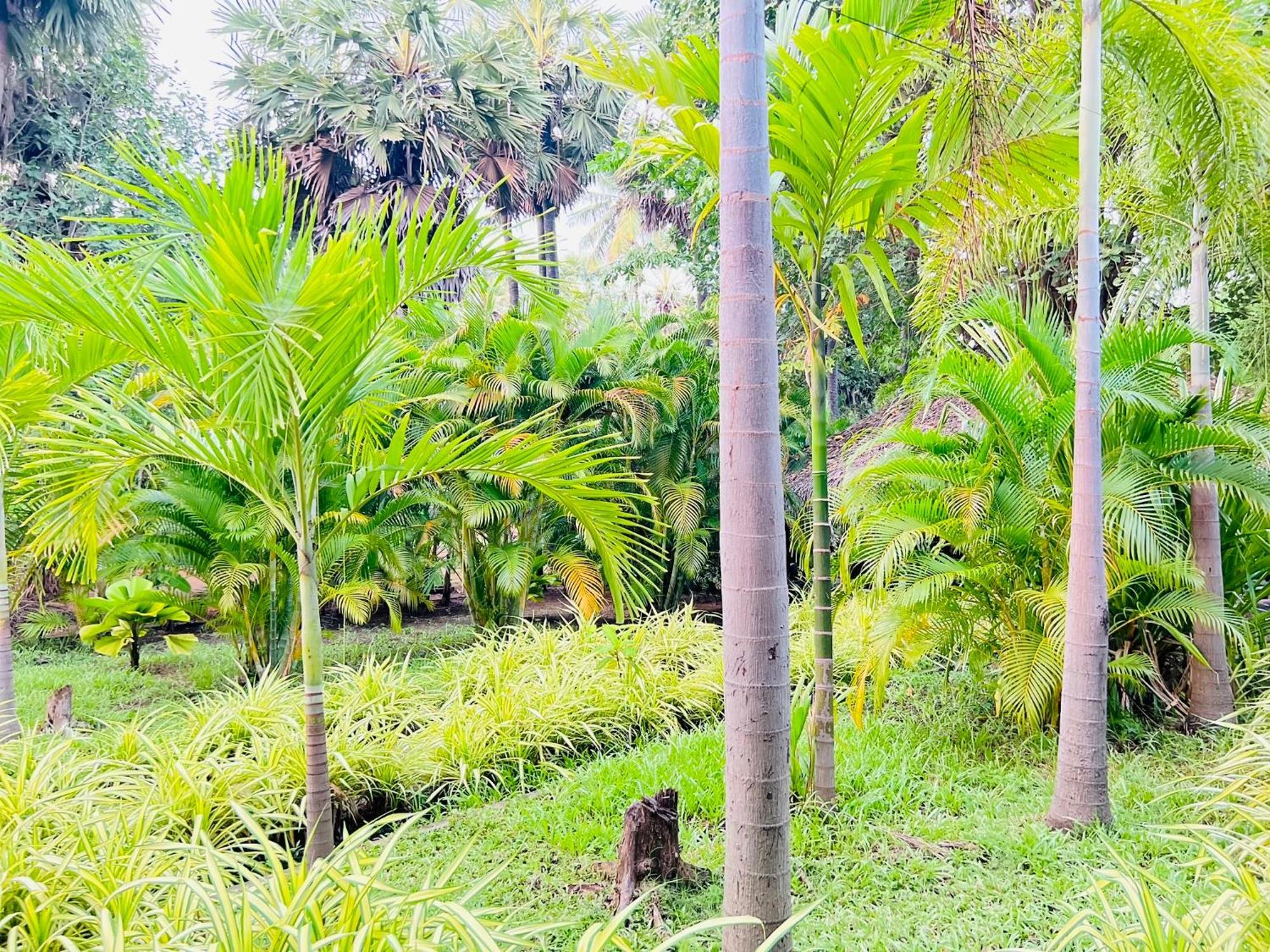 Sasvi Cabana ตรินโคมาลี ภายนอก รูปภาพ