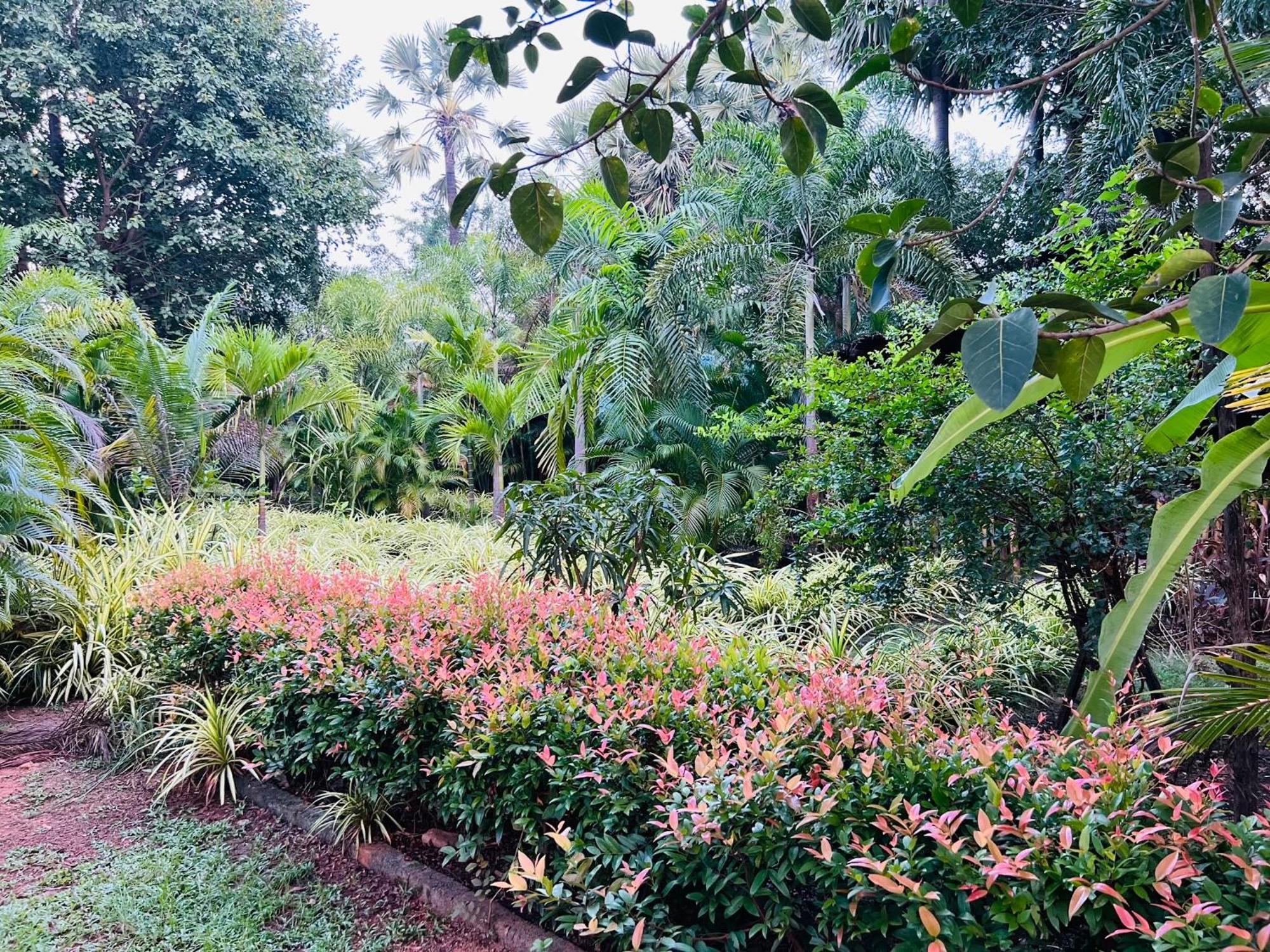 Sasvi Cabana ตรินโคมาลี ภายนอก รูปภาพ