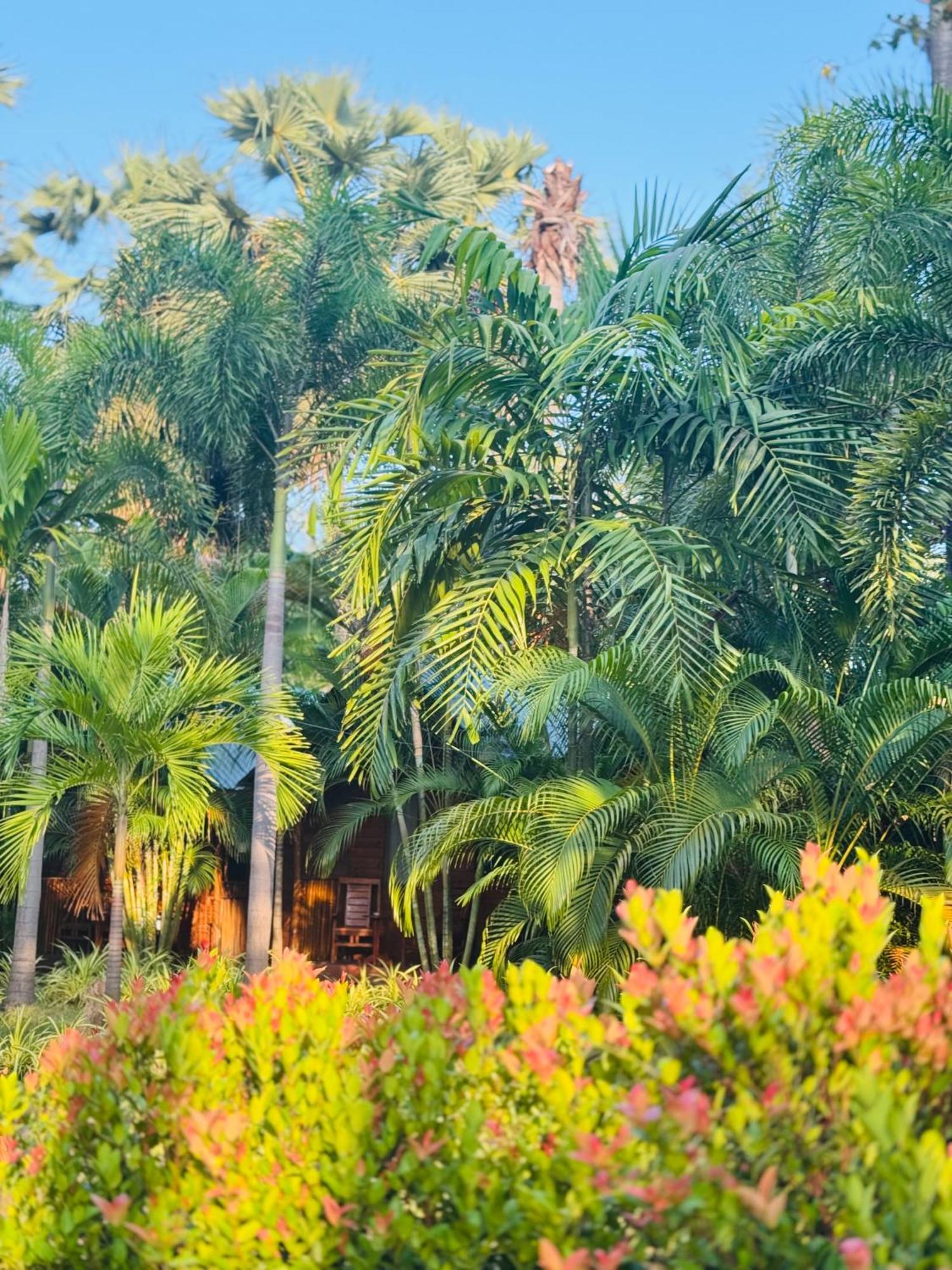 Sasvi Cabana ตรินโคมาลี ภายนอก รูปภาพ