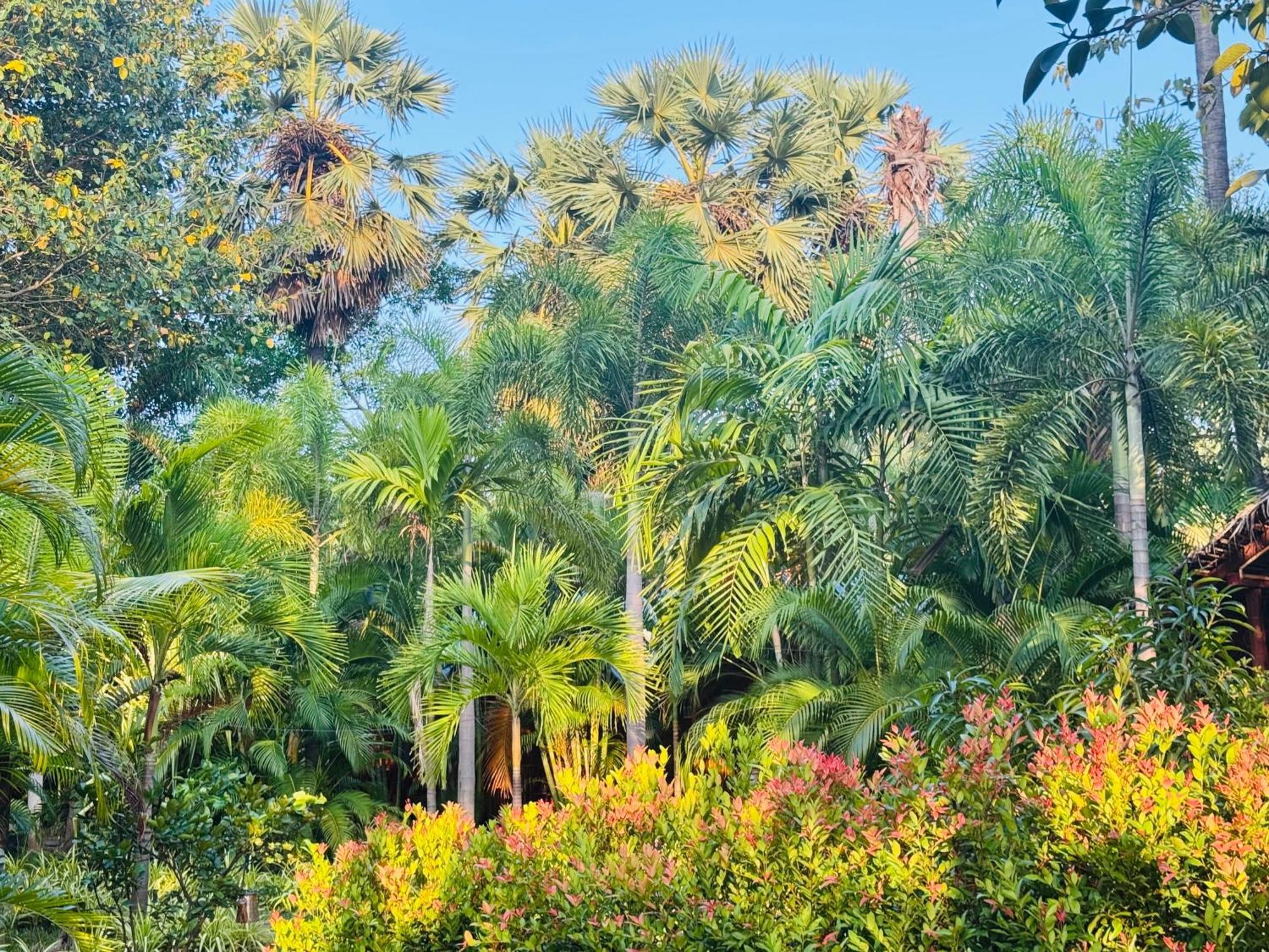Sasvi Cabana ตรินโคมาลี ภายนอก รูปภาพ